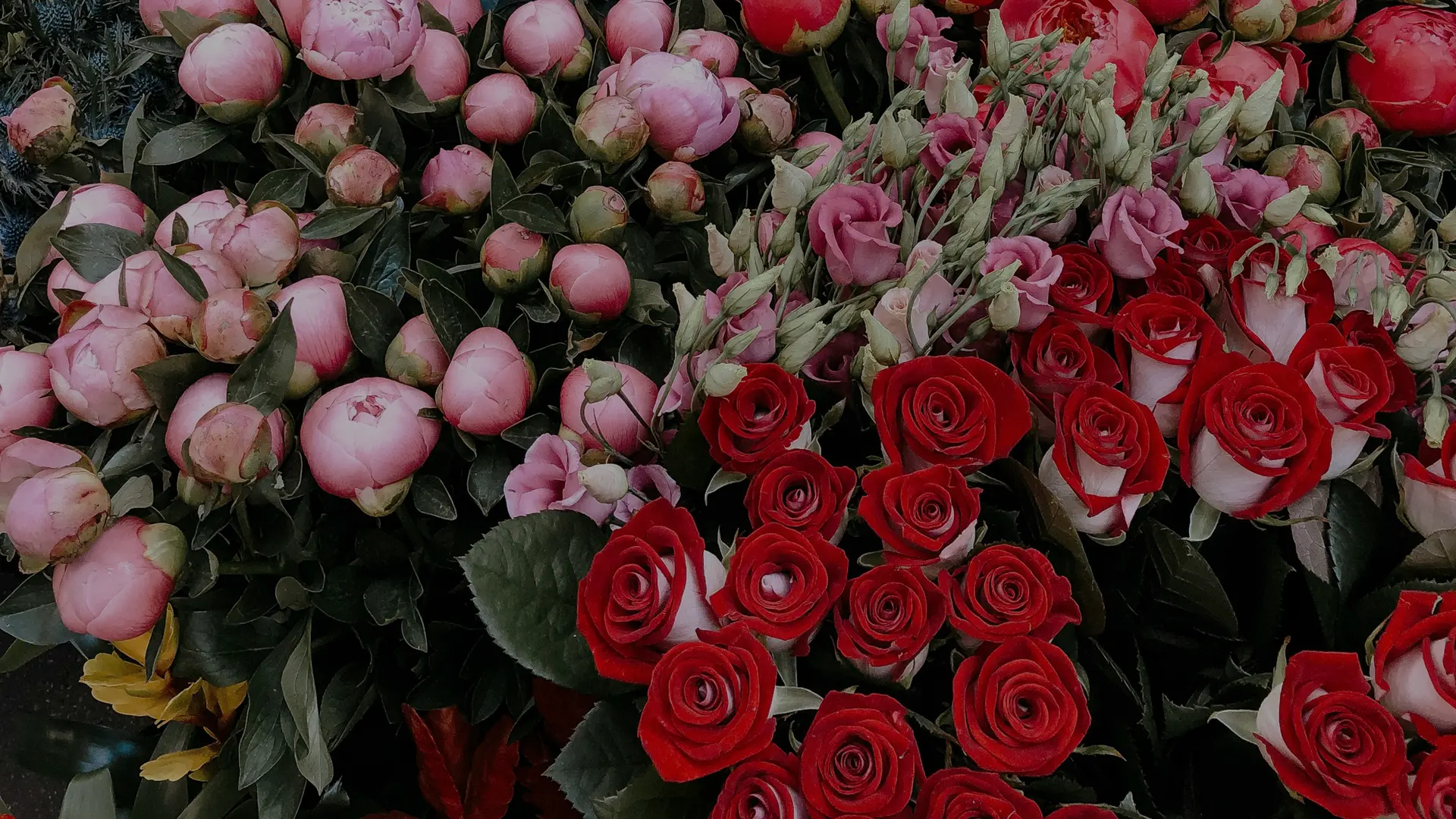 Image Slider